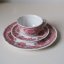 Tálíř 20 cm  Villeroy & Boch Fasan