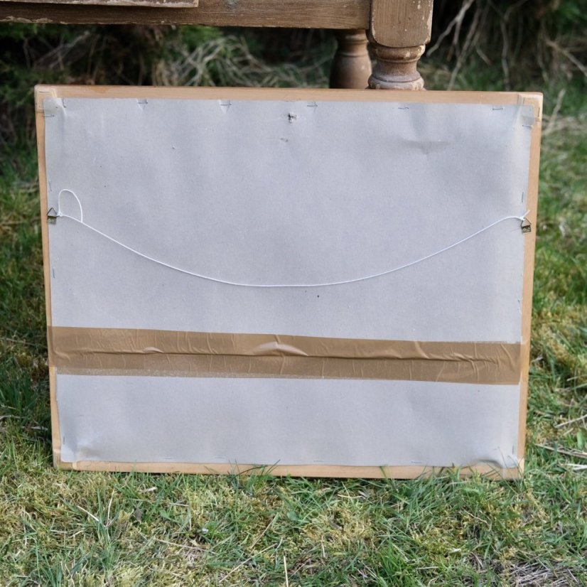 Ručně malovaný obraz v rámu 56 x 46 cm