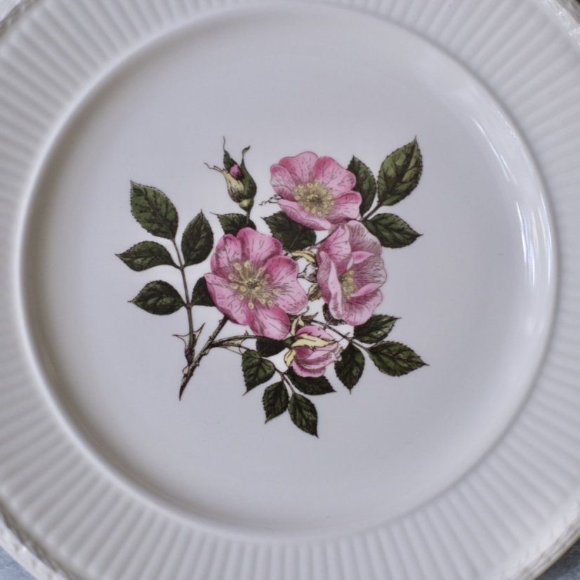 Porcelánový talíř 20,5 cm Wedgwood Briar Rose