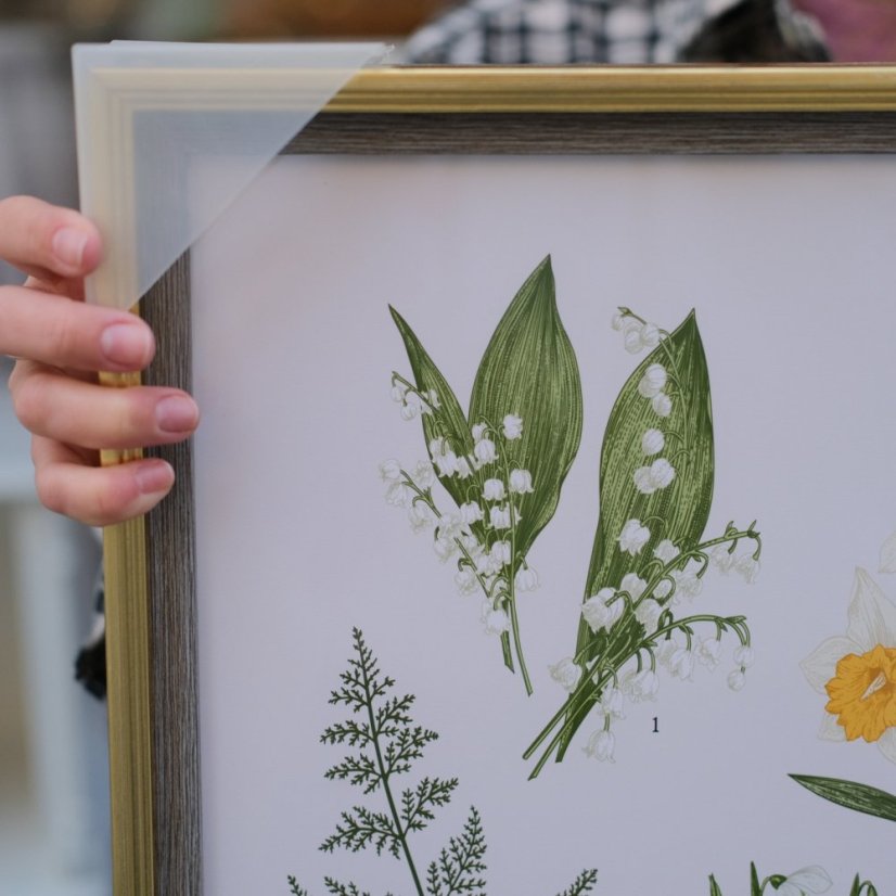 Botanický plakat v rámu 51 x 41 cm
