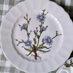 Tálíř 19 cm Eschenbach Botanica