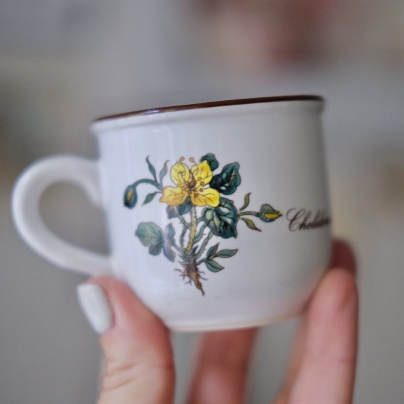 Šálek s podšálkem 100 ml Villeroy & Boch Botanica