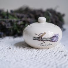 Cukřenka Lavender, Jet - Netherlands