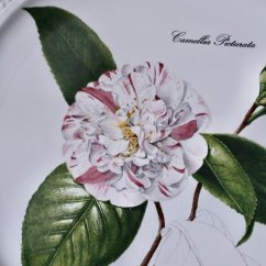 Závěsný tálíř 23 cm Camellia Villeroy & Boch