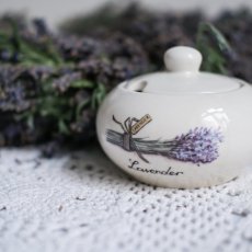 Cukřenka Lavender, Jet - Netherlands