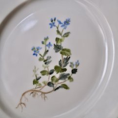 Porcelánový talíř botanický vzor