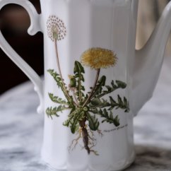 Kavová konvice 1,5 L Eschenbach Botanica