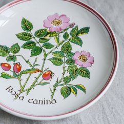 Závěsný keramický talíř Rosa Canina 26 cm
