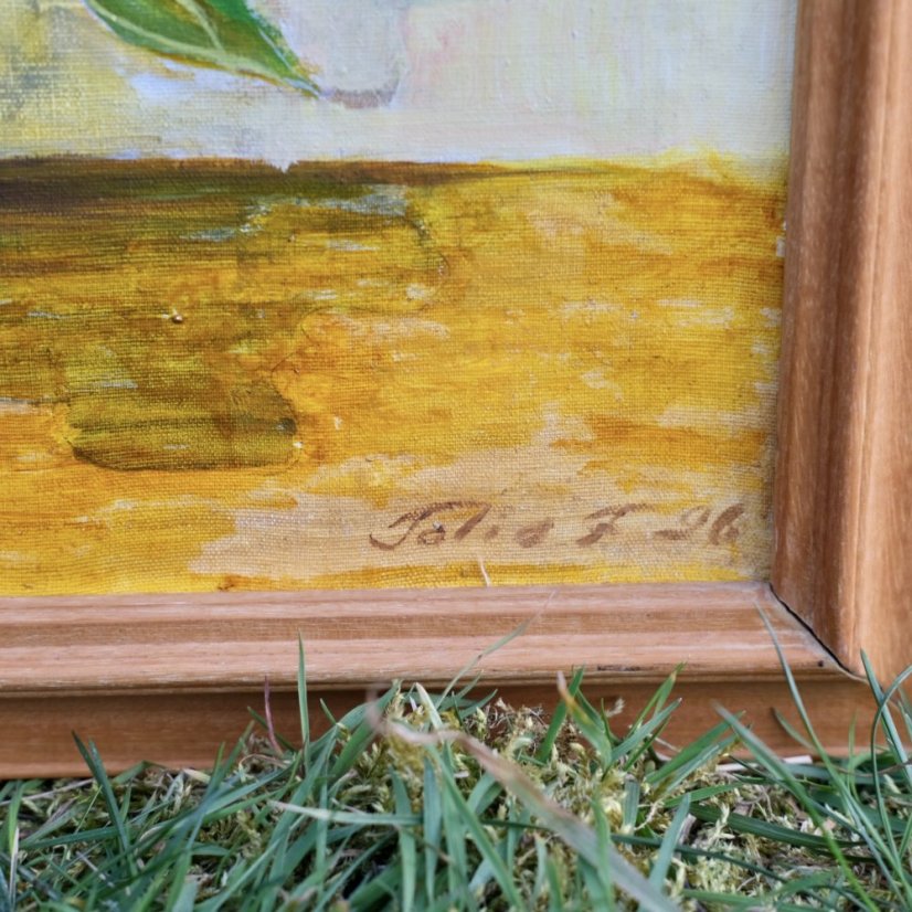 Ručně malovaný obraz v rámu 56 x 46 cm