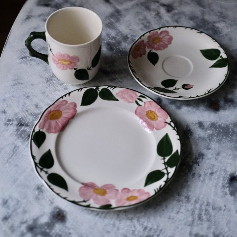 Tálíř 20 cm  Wild Rose Villeroy & Boch