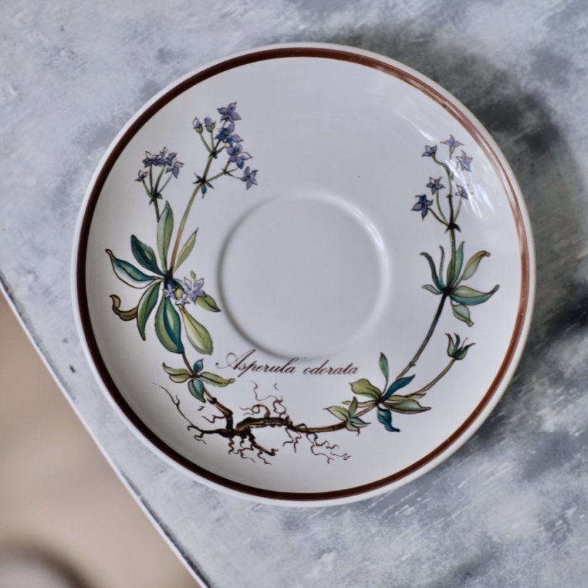 Šálek s podšálkem 100 ml Villeroy & Boch Botanica