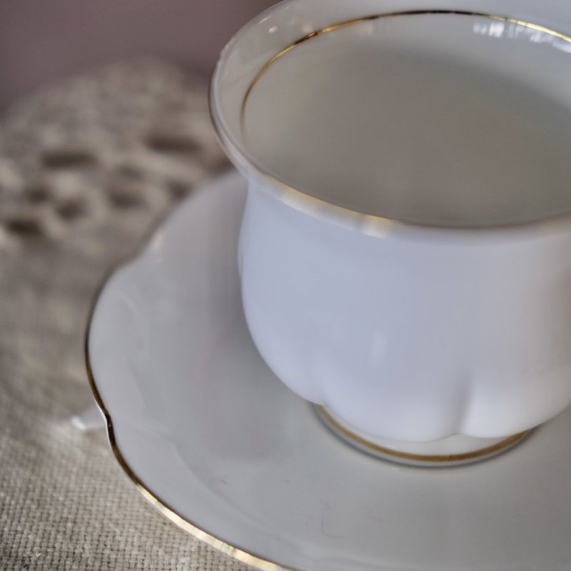 Porcelánový šálek s podšálkem Alt Regensburg