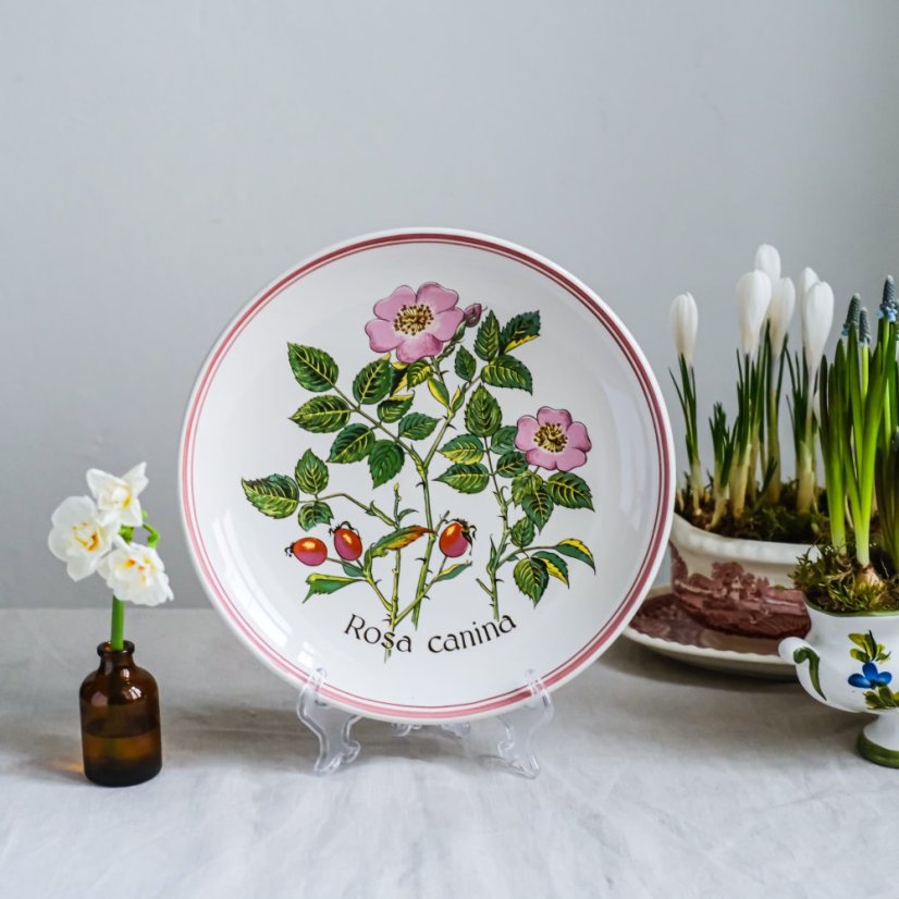 Závěsný keramický talíř Rosa Canina 26 cm
