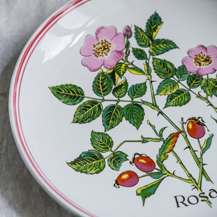 Závěsný keramický talíř Rosa Canina 26 cm