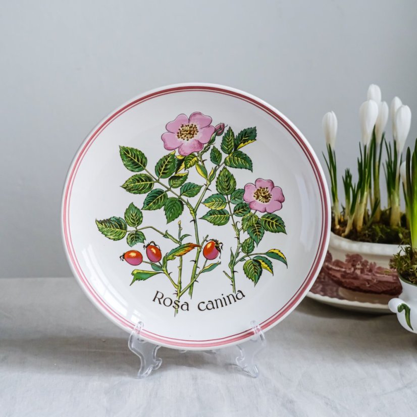 Závěsný keramický talíř Rosa Canina 26 cm