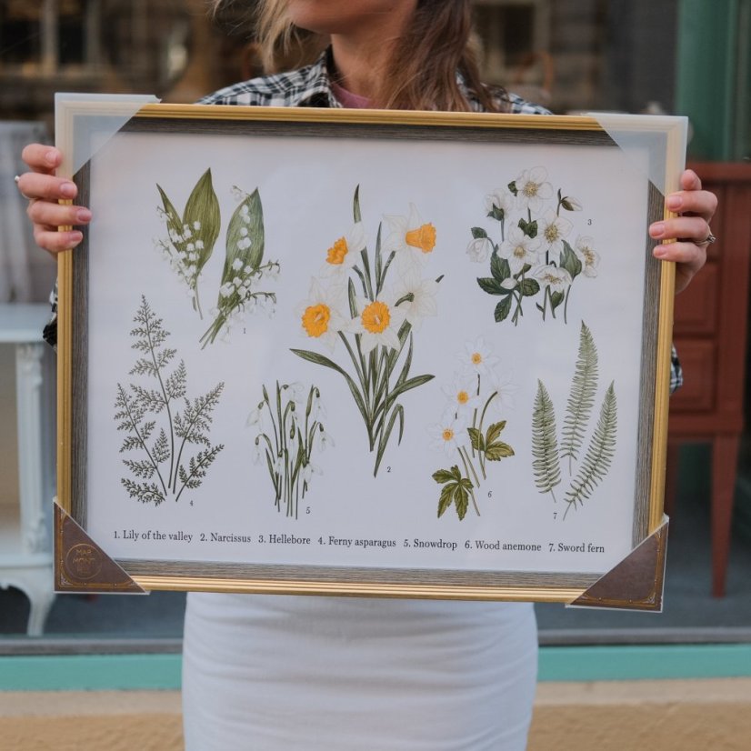 Botanický plakat v rámu 51 x 41 cm