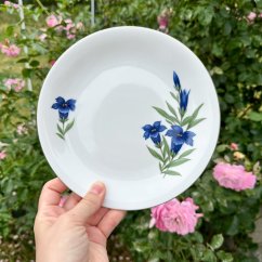 Talíř Seltmann Weiden modrý květiny 20cm