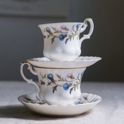 Šálek s podšálkem Royal Albert Brigadoon England