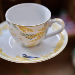 Porcelánový šálek s podšálkem Mimosa 200 ml