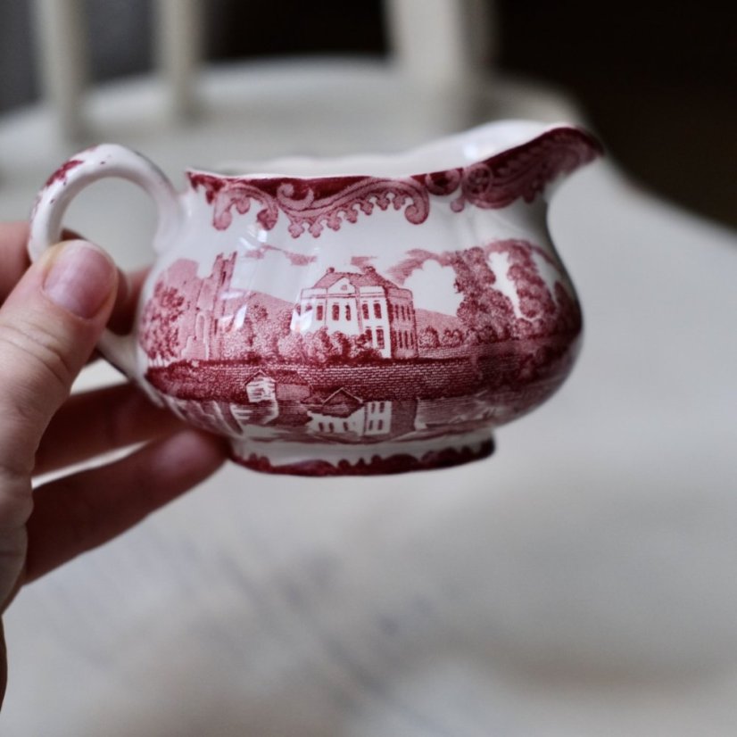 Mléčenka Avon Scenes Palissy England
