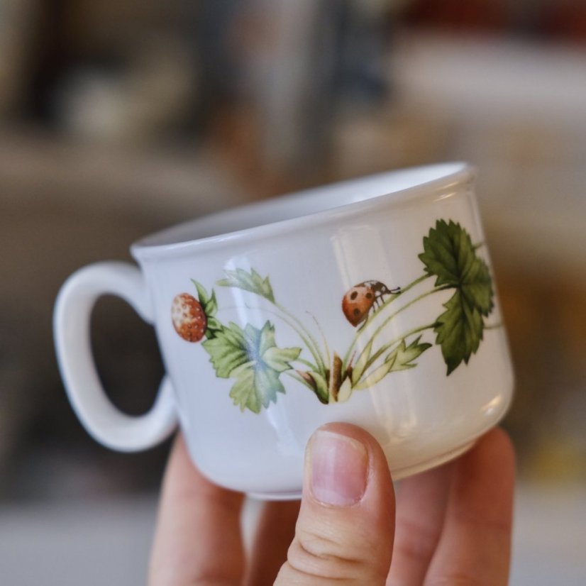 Šálek s podšálkem J&G Meakin Wedgwood jahody 150 ml