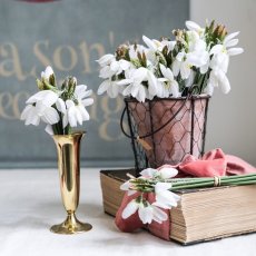 Dekorativní svazek sněženek (5ks) 19 cm