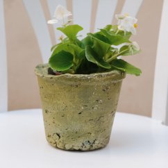 Květináč mint