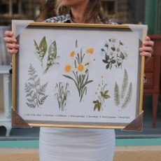 Botanický plakat v rámu 51 x 41 cm