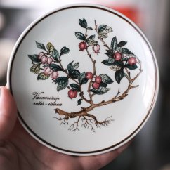 Talířek 12cm Villeroy & Boch Botanika