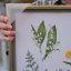 Botanický plakat v rámu 51 x 41 cm