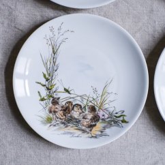 Porcelánové závěsné talířky s ptáčky Bavaria Germany 20 cm