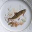 Porcelánový tálíř  24 cm Mitterteich