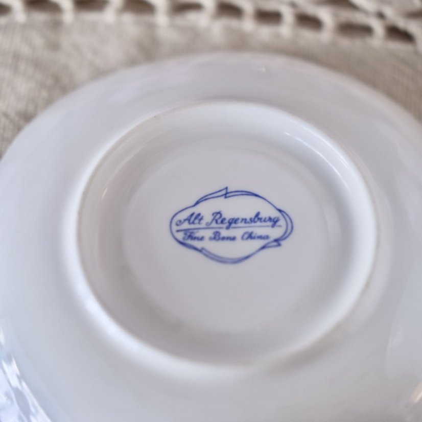 Porcelánový šálek s podšálkem Alt Regensburg