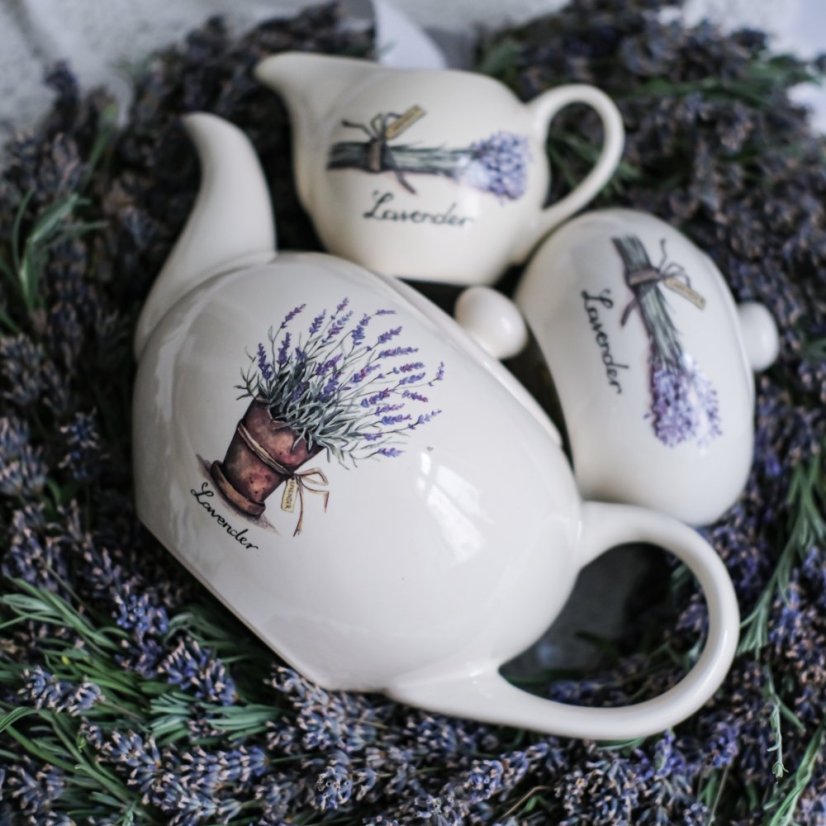 Cukřenka Lavender, Jet - Netherlands