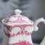 Konvice 1,2 l Staffordshire - England