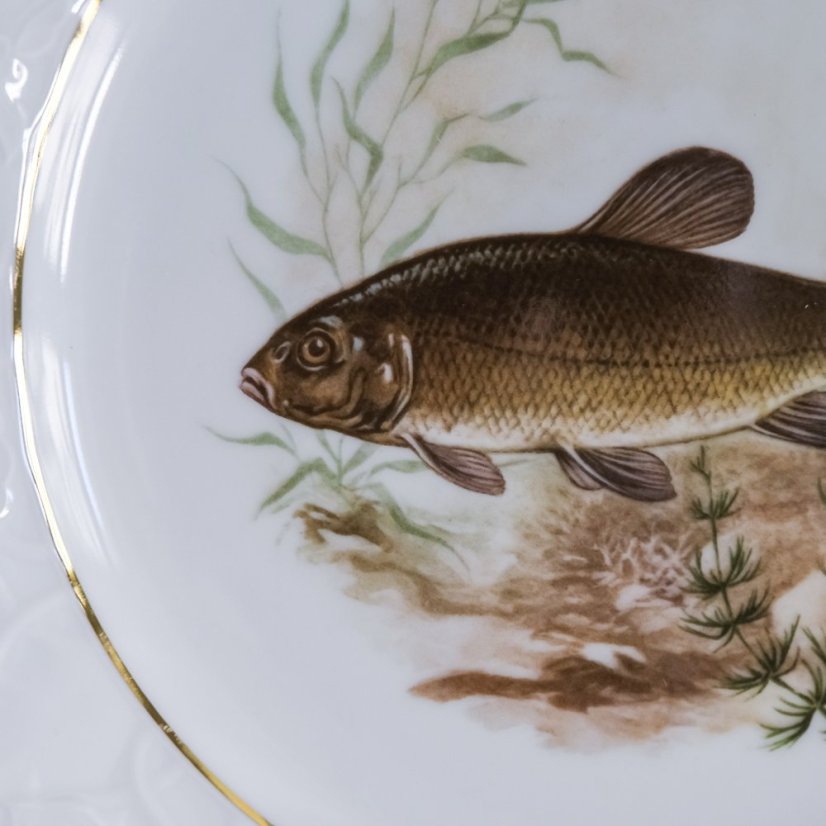 Porcelánový tálíř  24 cm Mitterteich