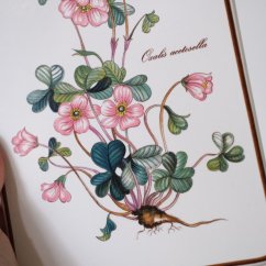 Porcelánové prkýnko Villeroy & Boch Botanica