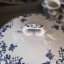 Terina Valeria Villeroy & Boch 3L