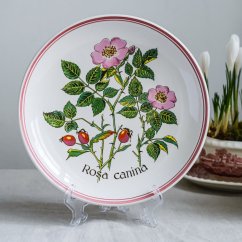 Závěsný keramický talíř Rosa Canina 26 cm