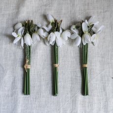 Dekorativní svazek sněženek (5ks) 19 cm