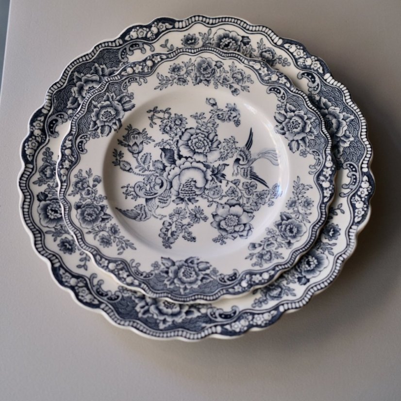 Tálíř Bristol Crown Ducal 19,5 cm